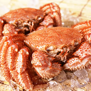 身の甘さが1年で一番！毛がに漁師の贅沢「夏限定毛がに」500ｇ前後の商品画像