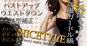「NICETYLE～ナイスタイル～（株式会社Artemis）」の商品画像