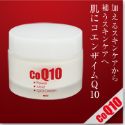 パワーモイストQ10　クリームの商品画像