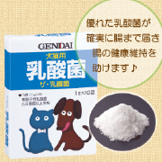「ザ・乳酸菌 （粉末） 1g&times;10袋 【現代製薬】GENDAI 腸の健康サポート （現代製薬株式会社）」の商品画像