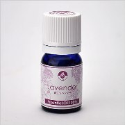 「幅広い活躍の定番アロマ♪真正ラベンダー（ＡＭＯＭＡ|アモーマハーブティー）」の商品画像