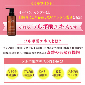 「【オーロラシャンプー】ミノキシジル 誘導体 フルボ酸 オーガニック スカルプケア（株式会社シーズ）」の商品画像の4枚目