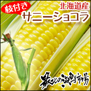 「北海道産サニーショコラ（枝付き）8本入れ（ノース物産株式会社）」の商品画像