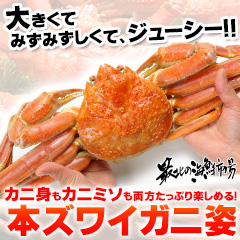 「本ズワイガニ姿800g前後（ノース物産株式会社）」の商品画像