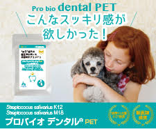 プロバイオデンタルＰＥＴ（６０粒）の商品画像