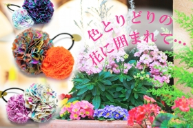 ボンボン２つ（中&times;小）のヘアアクセ◆50色・1点もの・古着で手作り・ハンドメイドの口コミ（クチコミ）情報の商品写真