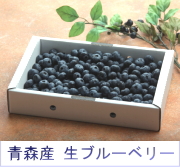 生ブルーベリー　秀品1kg(根岸観光農園)の口コミ（クチコミ）情報の商品写真