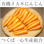 にんじん洗い　規格外10kg(つくば一心生産組合)の口コミ（クチコミ）情報の商品写真
