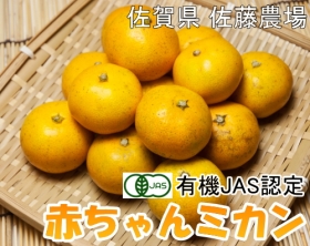 赤ちゃんミカン　小玉5kg(佐藤農場)の口コミ（クチコミ）情報の商品写真