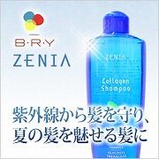 ブライ ゼニア ミントドライ シャンプーの商品画像