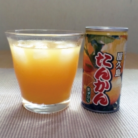 ストレート果汁30％使用／屋久島たんかんジュースの商品画像
