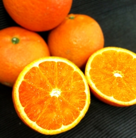 「【数量限定】屋久島たんかん【屋久島から直送】 （株式会社屋久島スタイル）」の商品画像