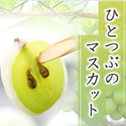 「ひとつぶのマスカット（株式会社ECホールディングス）」の商品画像