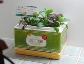 「はこ畑シリーズ「ぷちばたけ」（ブランドコレクション運営事務局）」の商品画像