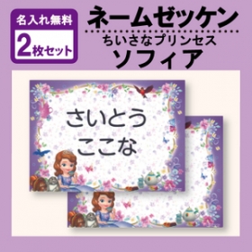 「★お名前をプリントしてお届け★「ちいさなプリンセスソフィア」のお名前ゼッケン２枚（株式会社ミノダ）」の商品画像