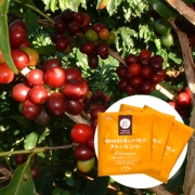 樹上完熟キリマンジャロ（ドリップタイプ）の商品画像