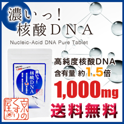「【濃いっ！核酸DNA】エイジングケア／健康維持に（株式会社 Kyoto Natural Factory）」の商品画像