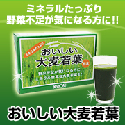 「だる～い身体をシャキッとさせたい時に！～キリっとボディ～【おいしい大麦若葉】（ニッショク株式会社）」の商品画像