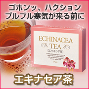 ゴホン！はくしょん！！ブルブル寒気が来る前に【エキナセア(エキネシア)茶】の商品画像