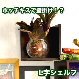 「ホッチキスで壁に固定 L字シェルフ（スタープラチナ株式会社）」の商品画像
