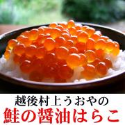 「鮭の醤油はらこ（イクラ）（越後村上うおや）」の商品画像