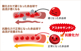 「アスタ・アイ・プレミアム（ハマリ産業株式会社）」の商品画像の3枚目