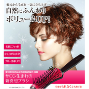 プロイデア／アイソシアル／ラボネッツの取り扱い商品「ボリュームアップのためのヘアブラシ『アイアーチ ボリュームアップブラシ』」の画像