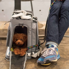 「GRAMP（プロイデア／アイソシアル／ラボネッツ）」の商品画像の3枚目