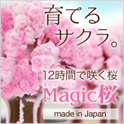 マジック桜 Made in Japanの商品画像