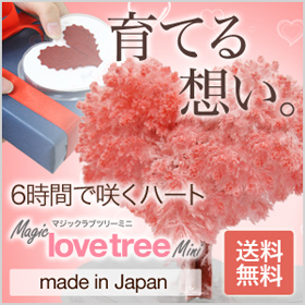 マジックラブツリー　ミニの商品画像