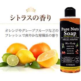 ナチュラセラ　ピュアナッツソープ　シトラス　260mLの商品画像
