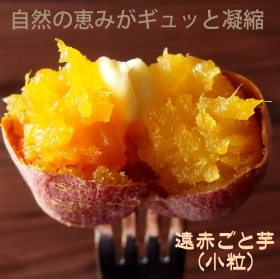 「【長崎五島ごと】長崎五島列島産&rdquo;遠赤ごと芋&rdquo;小粒ゆえに甘さ抜群！（ごと株式会社）」の商品画像