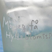 「堀井和子さんデザインエルダーフラワーグラス（株式会社アンデルセン）」の商品画像の2枚目