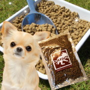 「シェフドッグ　お試し 500g　初めてのお客様限定（株式会社レガールファクトリー）」の商品画像