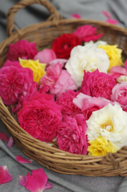 「ROSE HERB TEA 5 TETRA BAGS（ROSE LABO株式会社）」の商品画像の3枚目