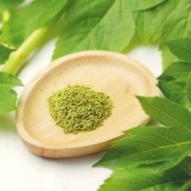 明日葉(あしたば)パウダー　【野菜パウダー・乾燥野菜の便利野菜】の商品画像