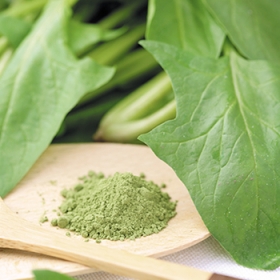 ほうれん草パウダー　【野菜パウダー・乾燥野菜の便利野菜】の商品画像