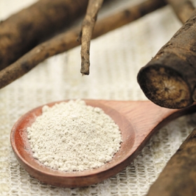 ごぼうパウダー　【野菜パウダー・乾燥野菜の便利野菜】の商品画像