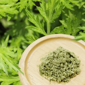 よもぎパウダー　【野菜パウダー・乾燥野菜の便利野菜】の商品画像