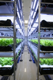 「新妊活サプリ『VEGEMAMA ベジママ』（VEGESTORYー植物工場物語ー）」の商品画像の4枚目