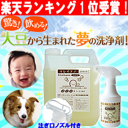 「キレイナノ　２リットル詰め替え用（ドリームペドラー）」の商品画像