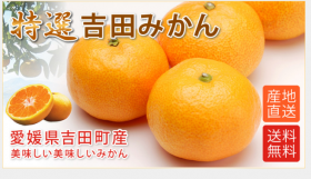 「温州みかん5kg,愛媛みかん,吉田みかん（愛媛 吉田みかんと宇和海の幸産直店　なかい）」の商品画像