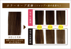 「テンスタースタイル カラーキープセラム　100ｇ（株式会社三宝）」の商品画像の3枚目