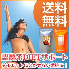 燃焼系ダイエットセット！&alpha;-リポ酸＋L-カルニチン(各約3ヶ月分)送料無料の商品画像