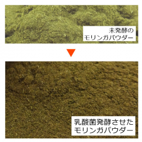 「乳酸菌発酵でパワーアップしたモリンガ「オーガニック発酵モリンガパウダー60g」（合資会社ネプト・プランニング）」の商品画像の4枚目