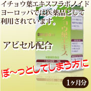イチョウ葉エキスの口コミ（クチコミ）情報の商品写真