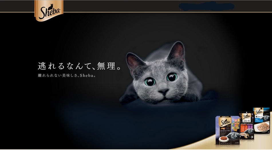 株式会社コジマのヘッダー画像