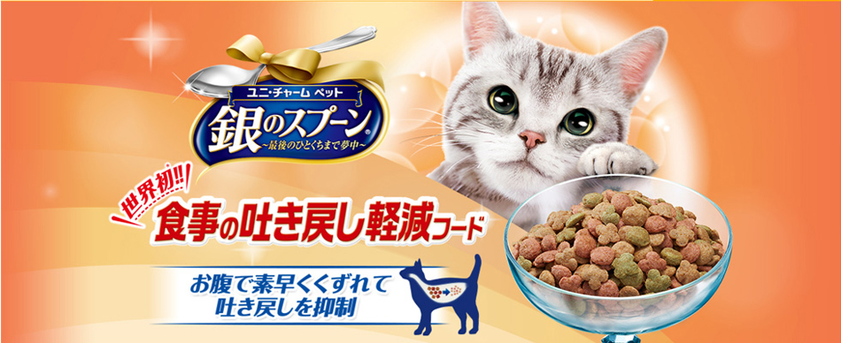 株式会社コジマのヘッダー画像