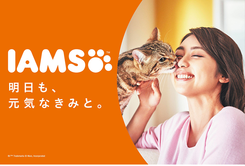 株式会社コジマのヘッダー画像