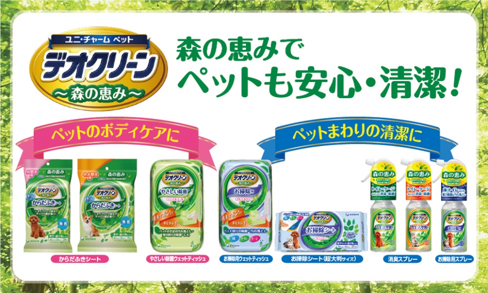 株式会社コジマのヘッダー画像